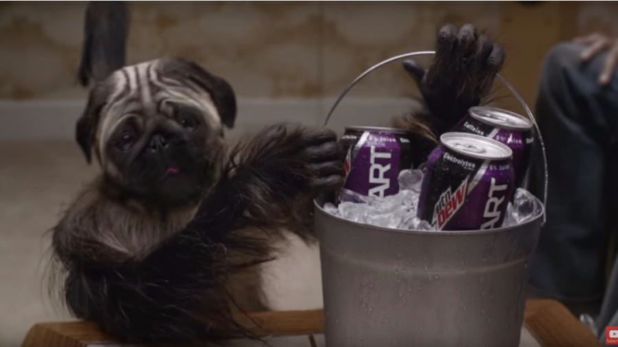 Our Favorite Super Bowl 50 Commercials