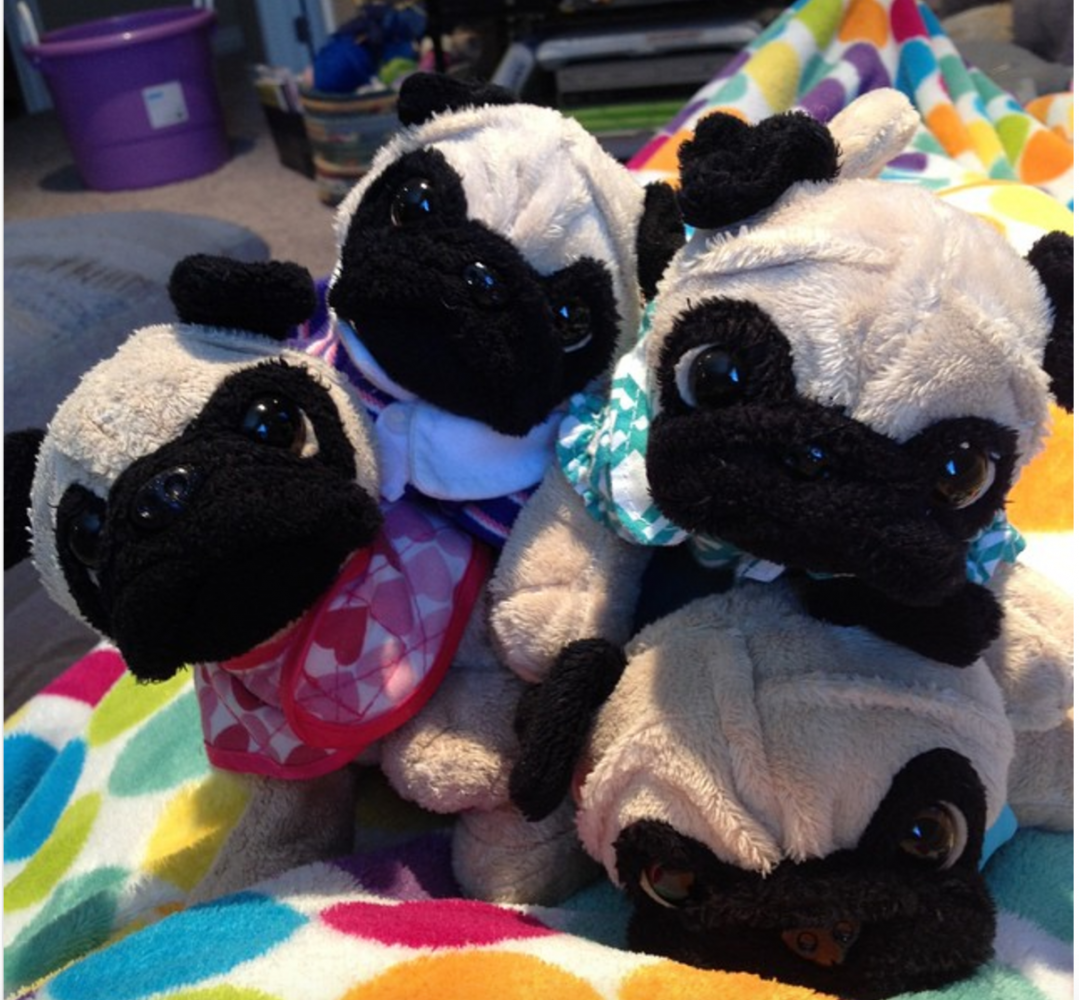 Pug-a-palooza is for the Dogs