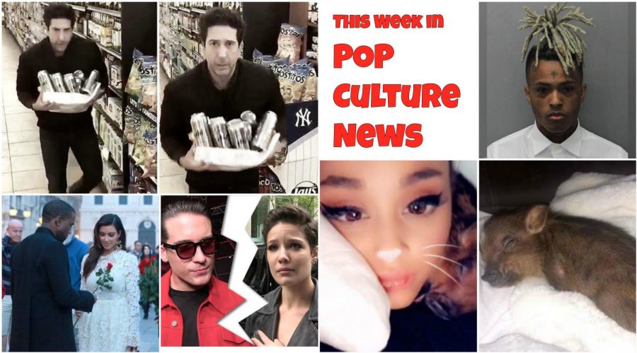 This Week In Pop Culture News: Robber Ross, Guilty XXXTentacion, Pig Love, Musician Split, Kim Ks Sacrifice