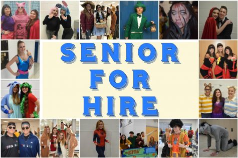 Senior for Hire Photo Gallery