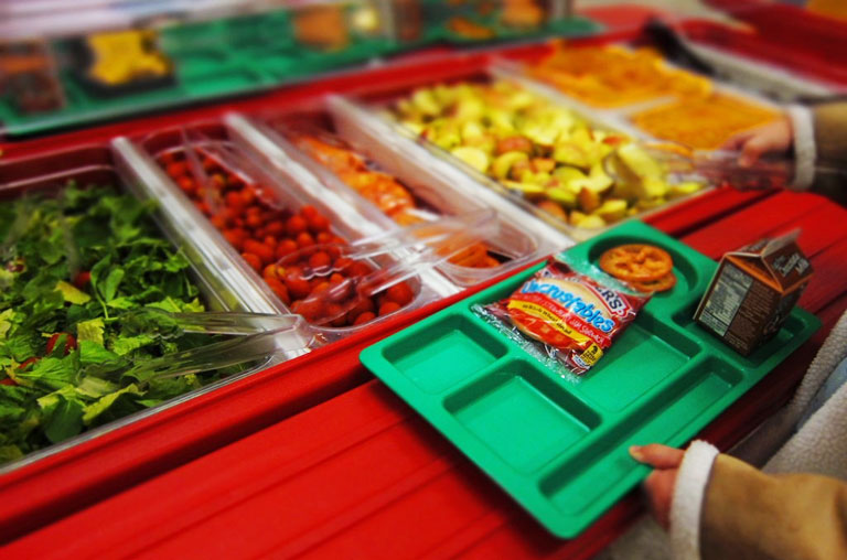 A Litterless Lunch: The Guide to Taking Sensible and Necessary Steps to Make Your School Lunch Sustainable