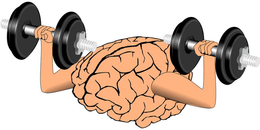 The Effects of Exercising on The Human Brain