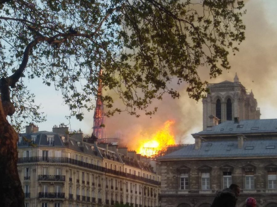 Notre+Dame+on+Fire%3A+the+tragic+loss+of+art%2C+history%2C+and+culture