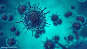 Understanding the Coronavirus