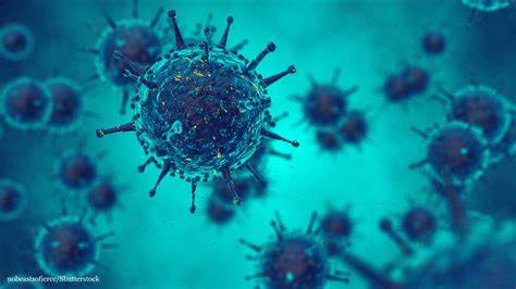Understanding the Coronavirus
