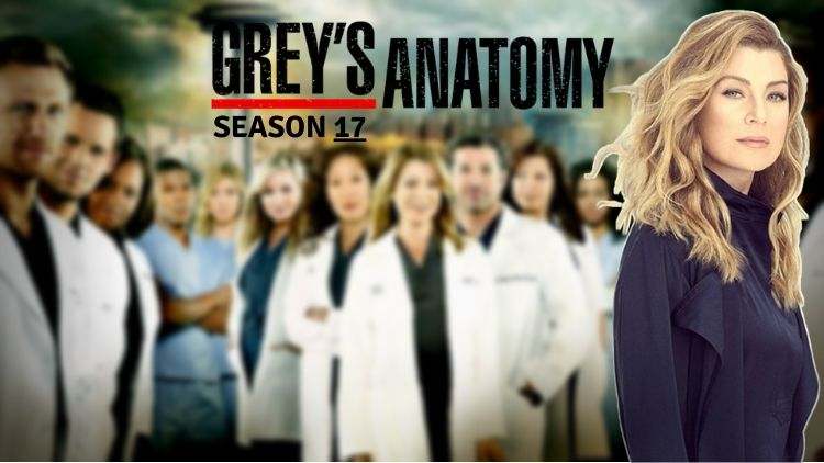 Bringing It Back Grey s Anatomy Season 17 Patriot Press