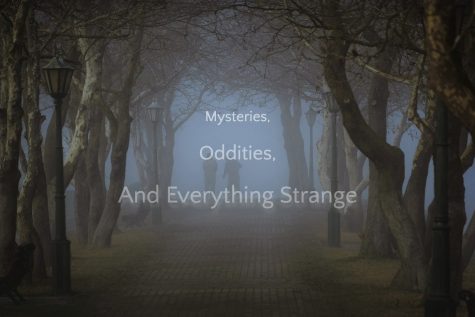 Mysteries, Oddities, and Everything Strange: Aspidochelone