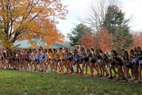 Varsity Cross Country Teams at States Photo Gallery