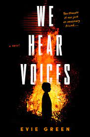 We Hear Voices Review