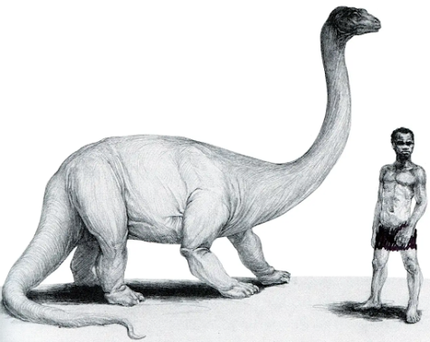 Mysteries, Oddities, and Everything Strange: Mokele-mbembe