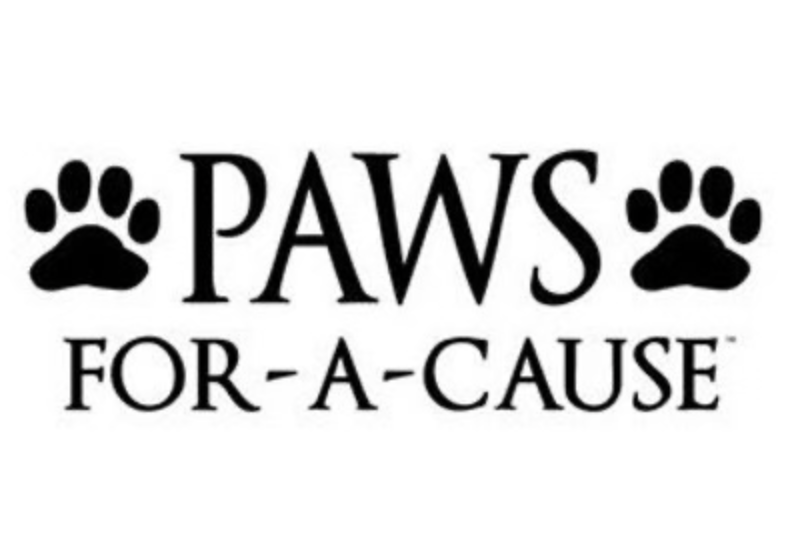 Club Spotlight: Paws For A Cause