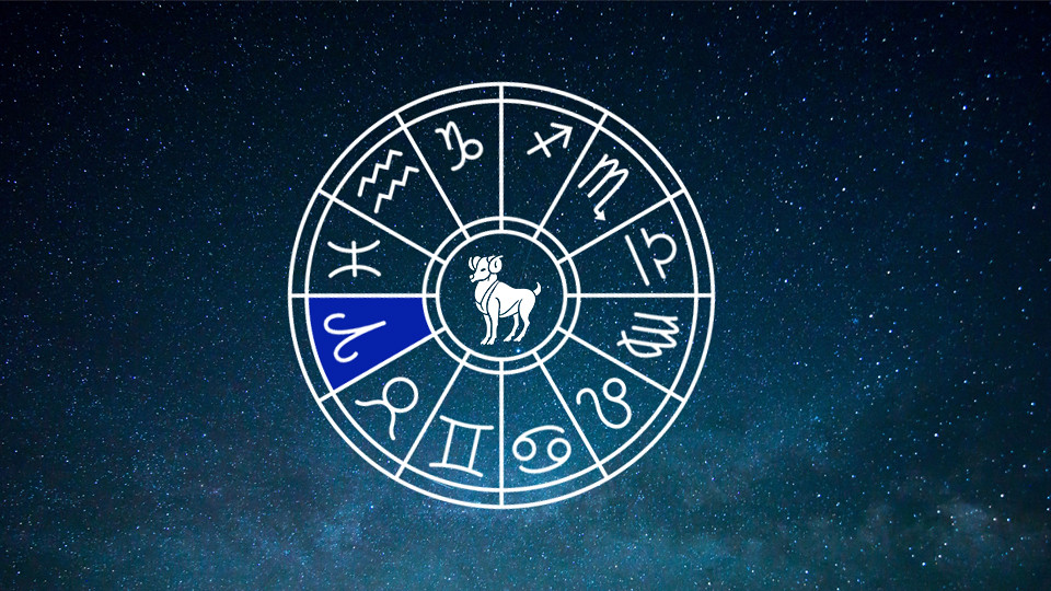 A Dive into Horoscopes!