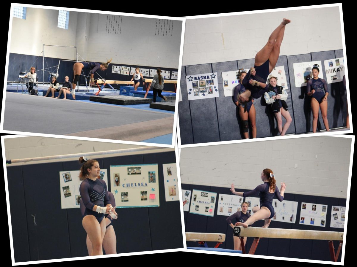 Varsity Gymnastics Photo Gallery!